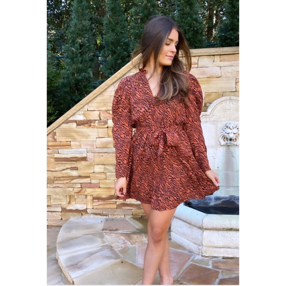 Anna Cate Elizabeth Tiger Print Long Sleeve Mini Dress Sz XS - Picture 2 of 13